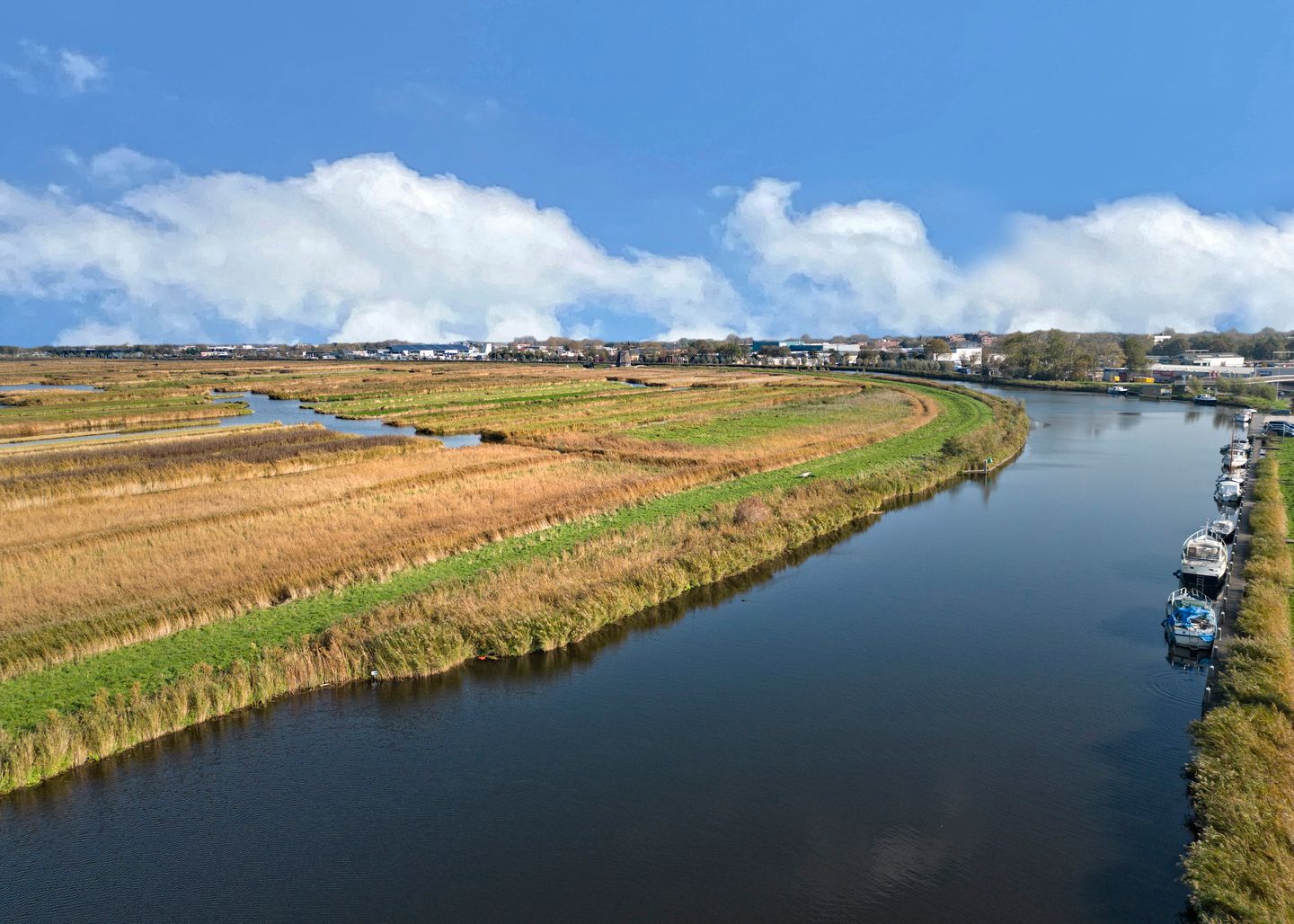 Foto 50 van Ooster Vlaerdinge 85