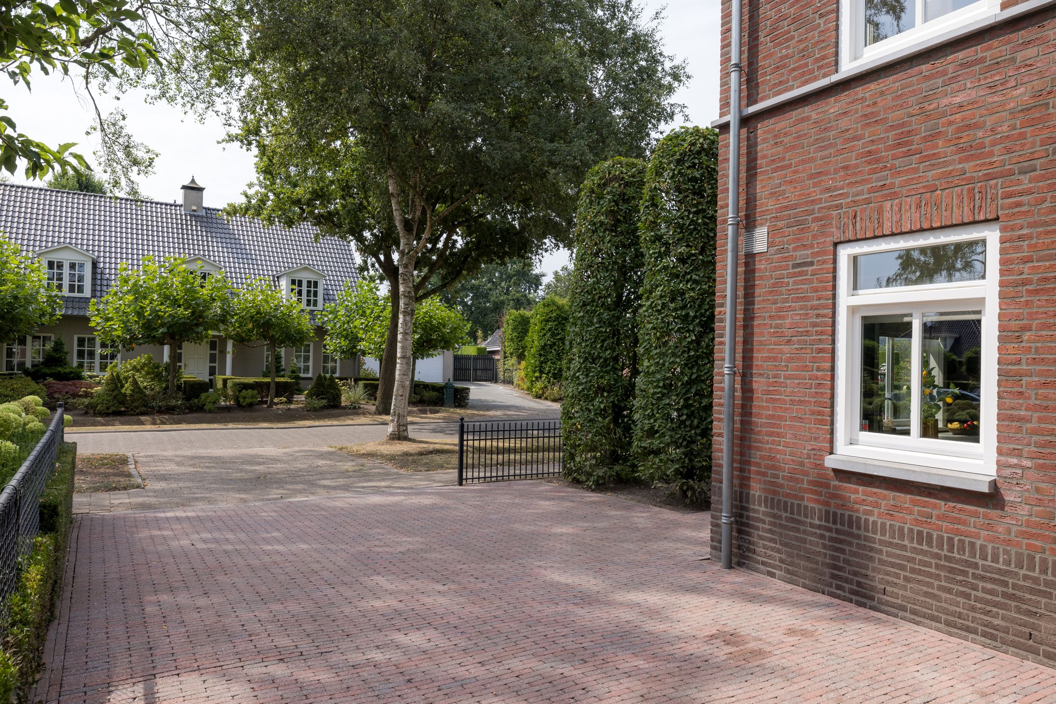 Foto 51 van Brand 16