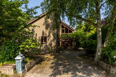 undefined main image