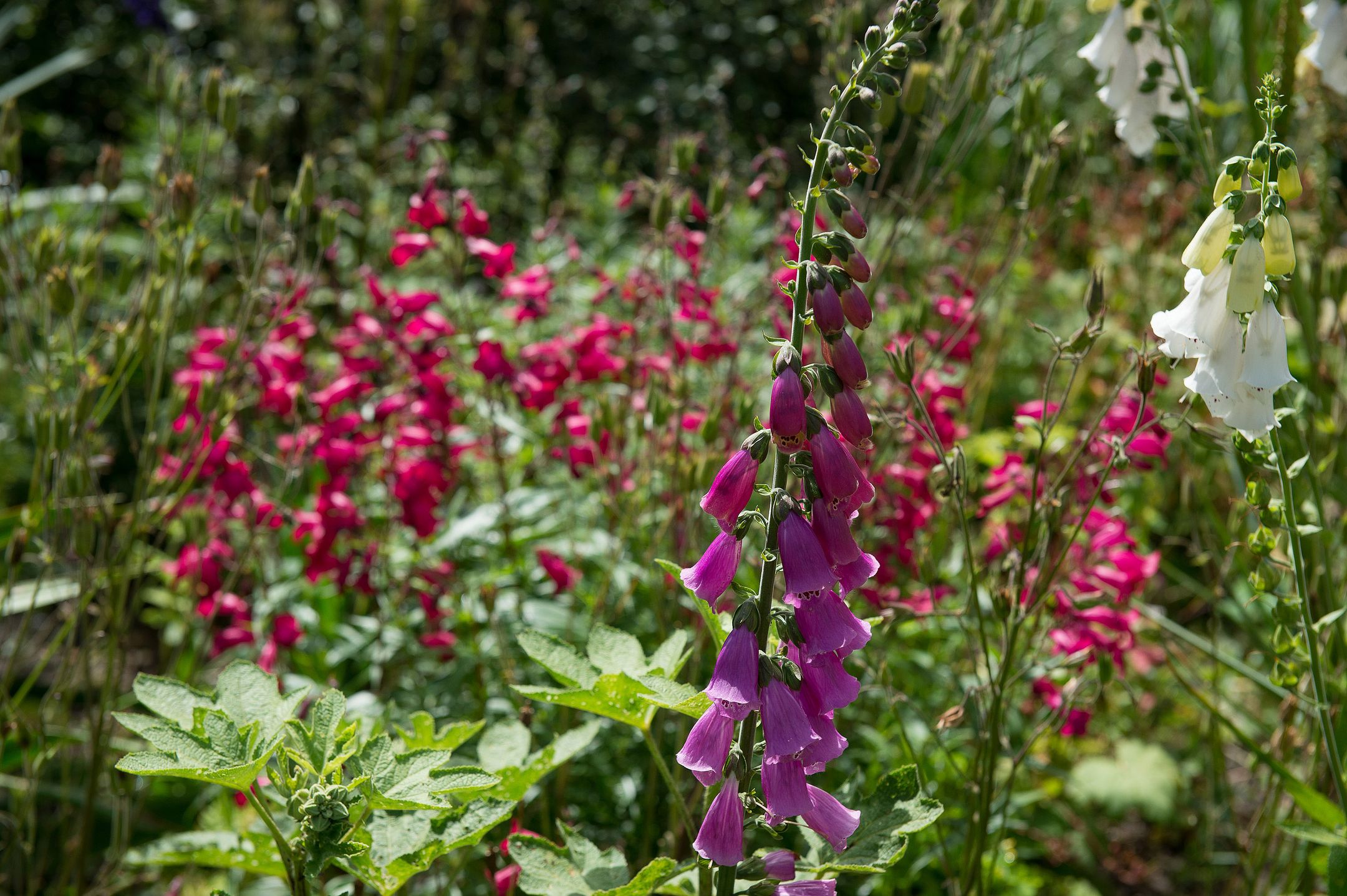 Foto 45 van Hoofdstraat 7