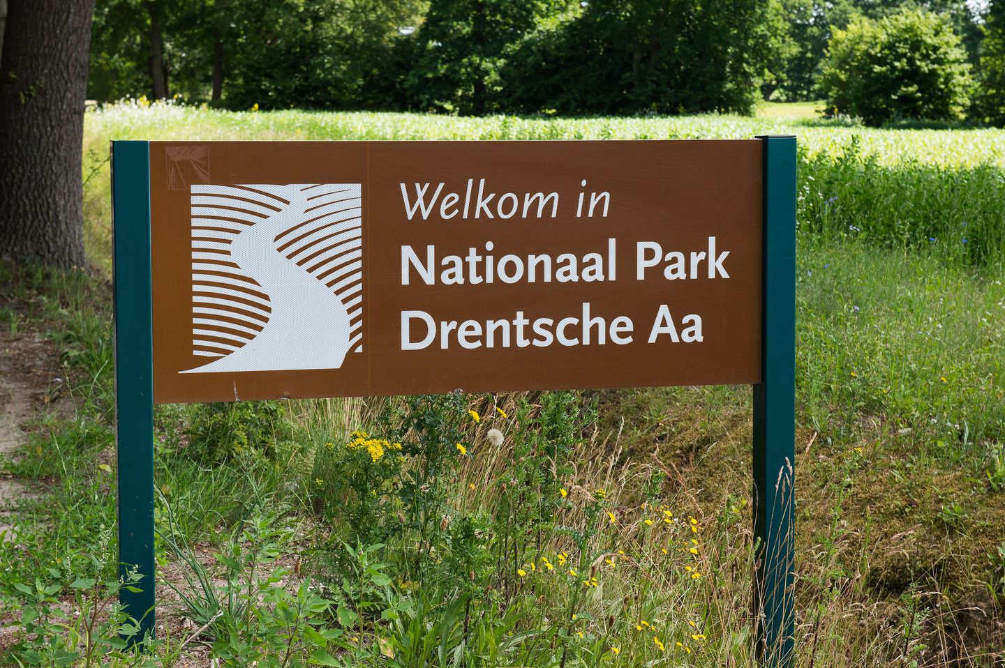 Foto 59 van Hoofdstraat 7