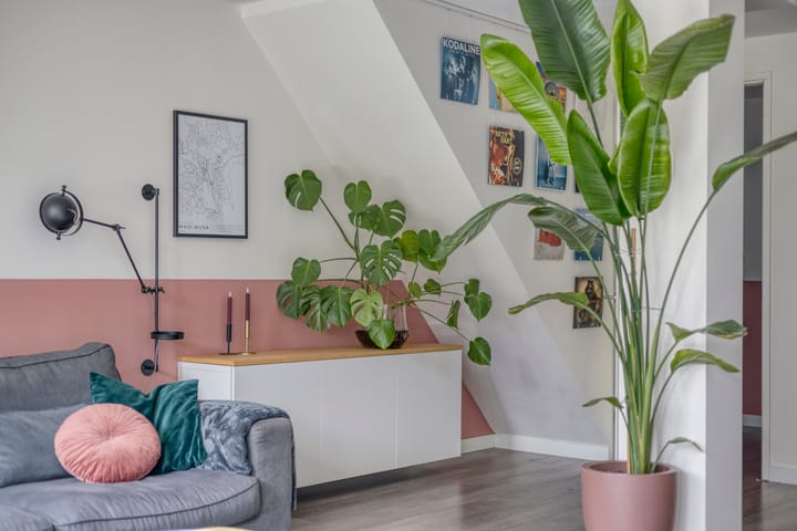 Foto 9 van Ruinerbrink 155