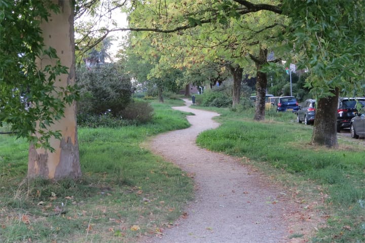 Foto 50 van Johan de Wittlaan 66