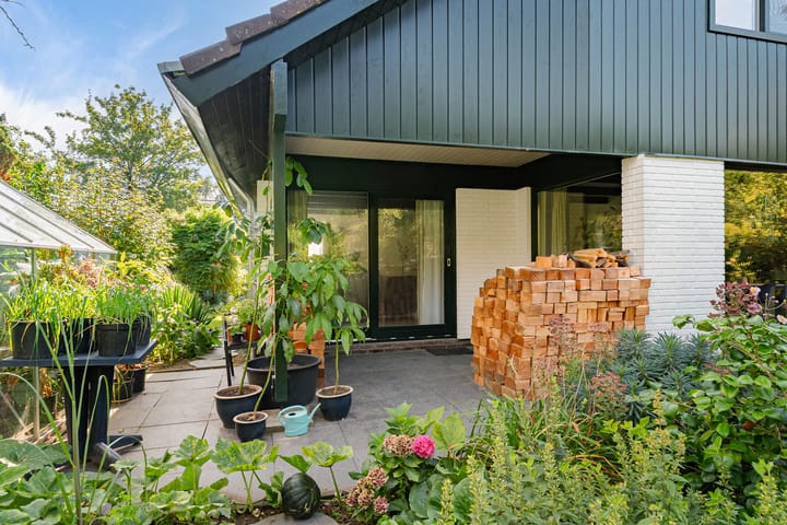 Foto 41 van Jol 12 16