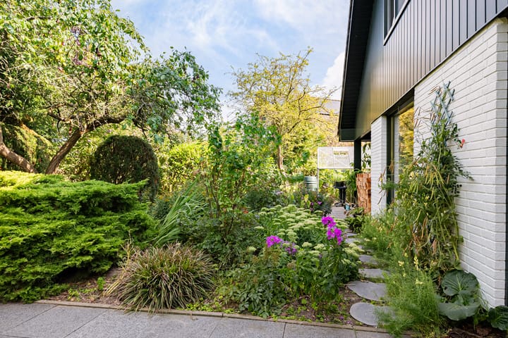 Foto 42 van Jol 12 16