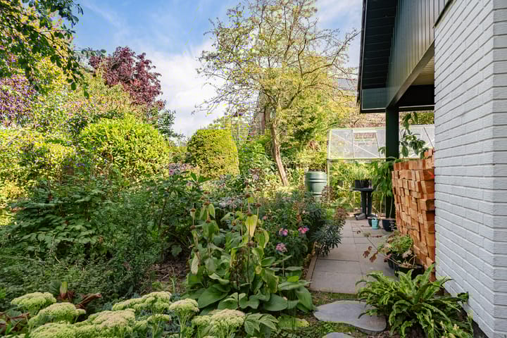 Foto 43 van Jol 12 16