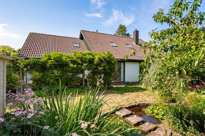 Foto 45 van Jol 12 16