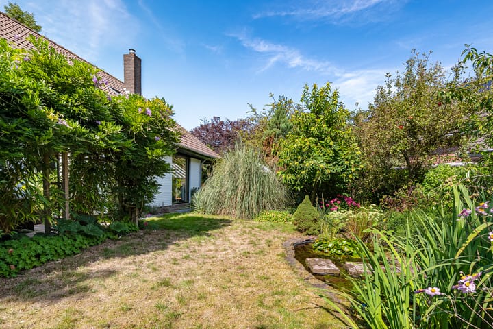 Foto 46 van Jol 12 16