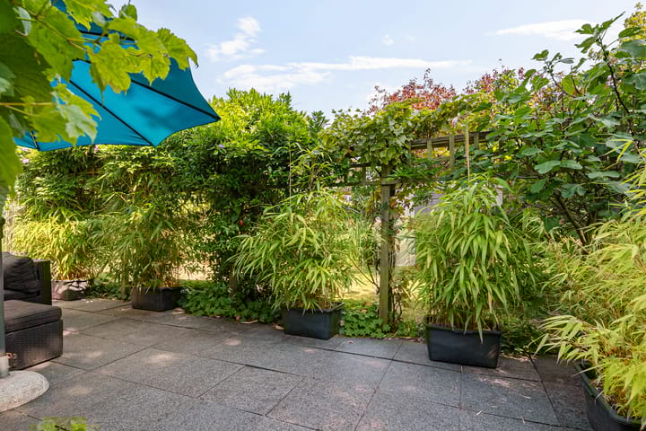 Foto 48 van Jol 12 16