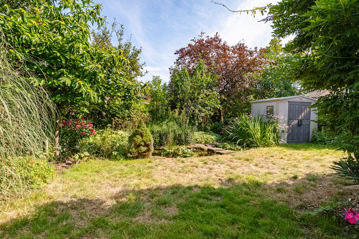 Foto 49 van Jol 12 16