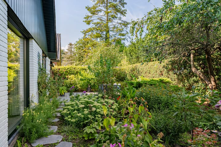 Foto 52 van Jol 12 16