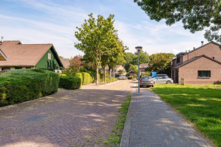 Foto 53 van Jol 12 16