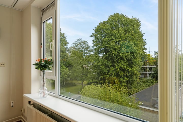 Foto 9 van Wedderborg 87