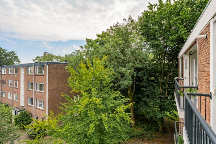 Foto 24 van Wedderborg 87