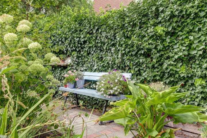 Foto 34 van Voorstraat 3