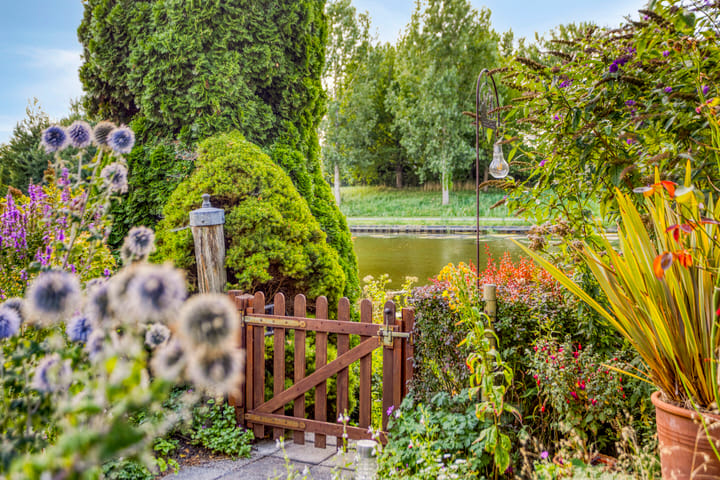 Foto 2 van Zoom 15 26