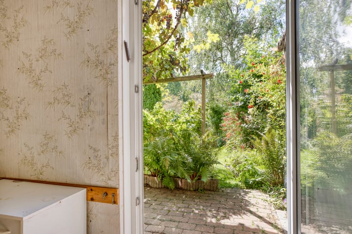 Foto 16 van Zoom 15 26