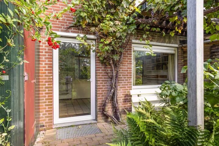 Foto 41 van Zoom 15 26