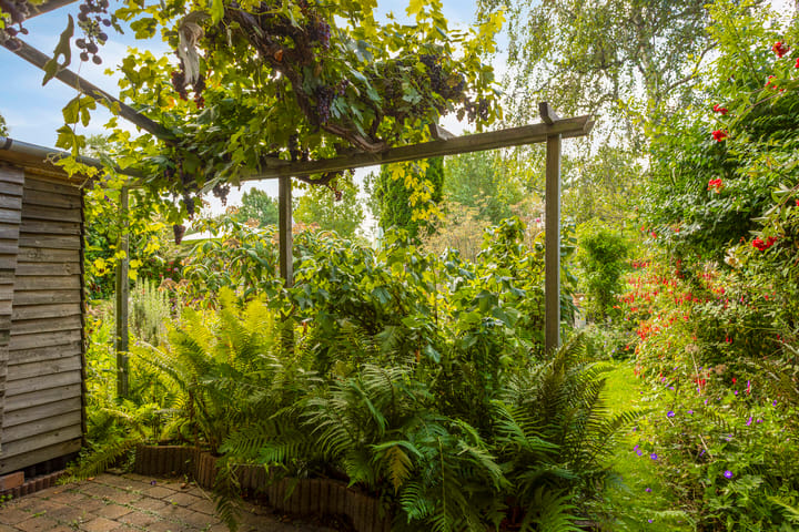 Foto 42 van Zoom 15 26