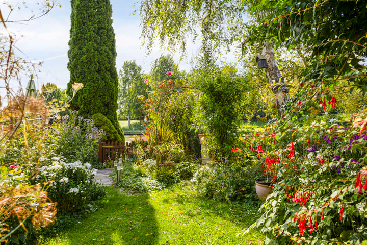 Foto 44 van Zoom 15 26