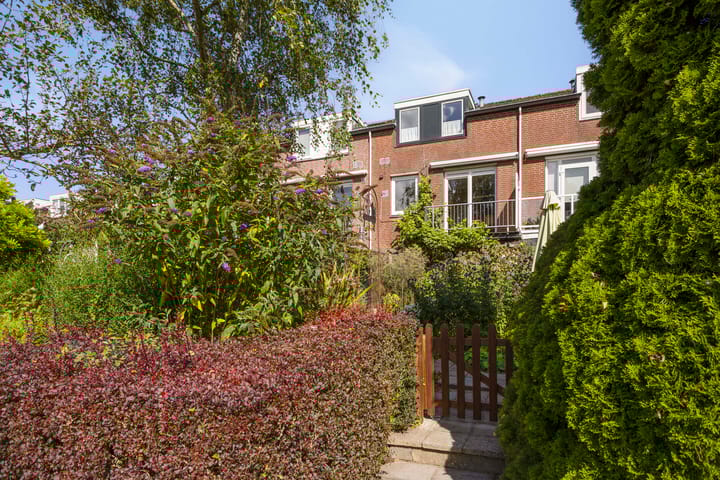 Foto 46 van Zoom 15 26