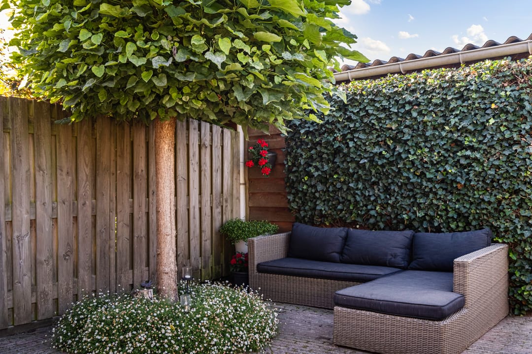 Photo 17 of Mijndenpolder 12