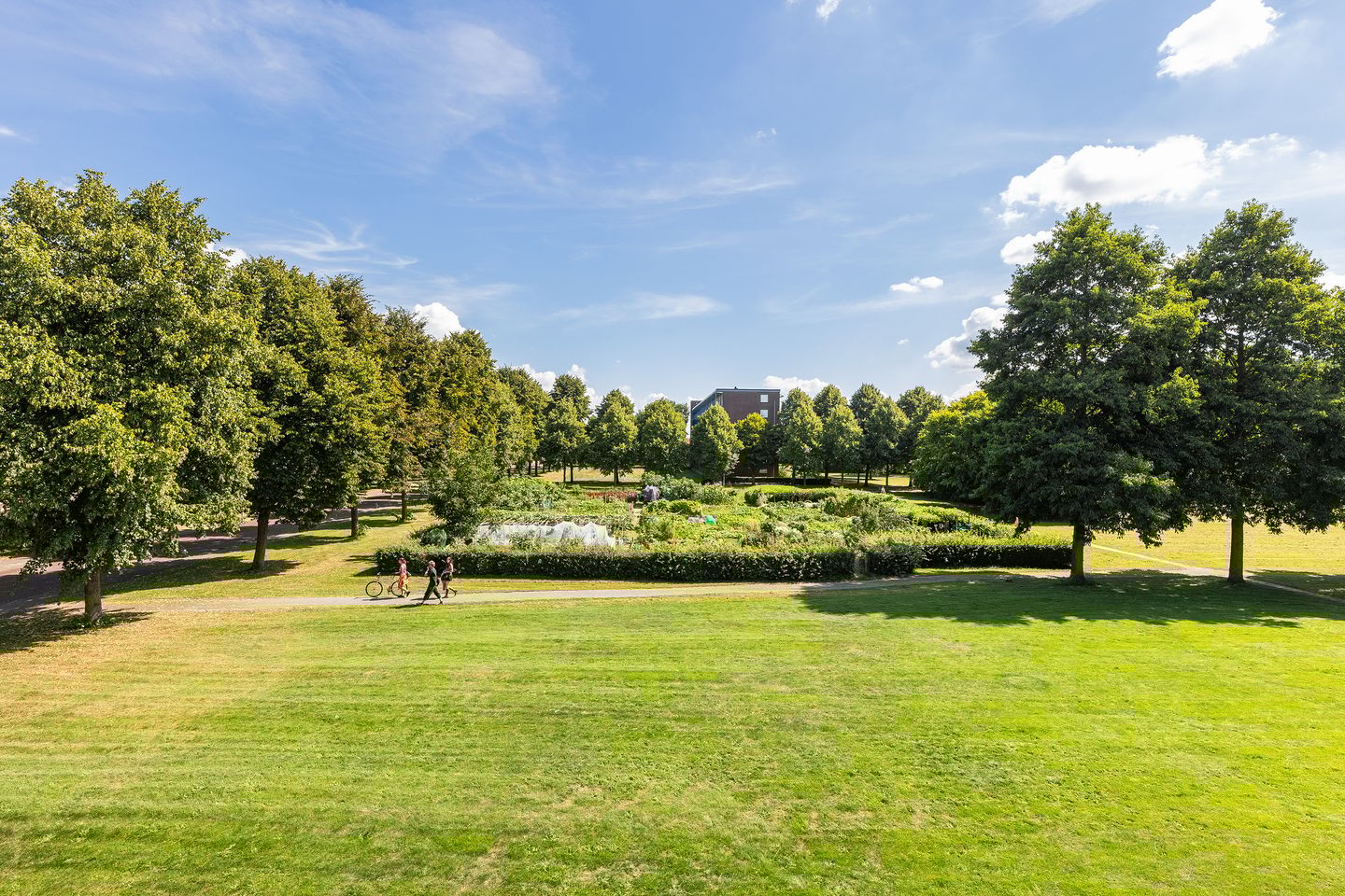 Foto 14 van Beethovenlaan 672