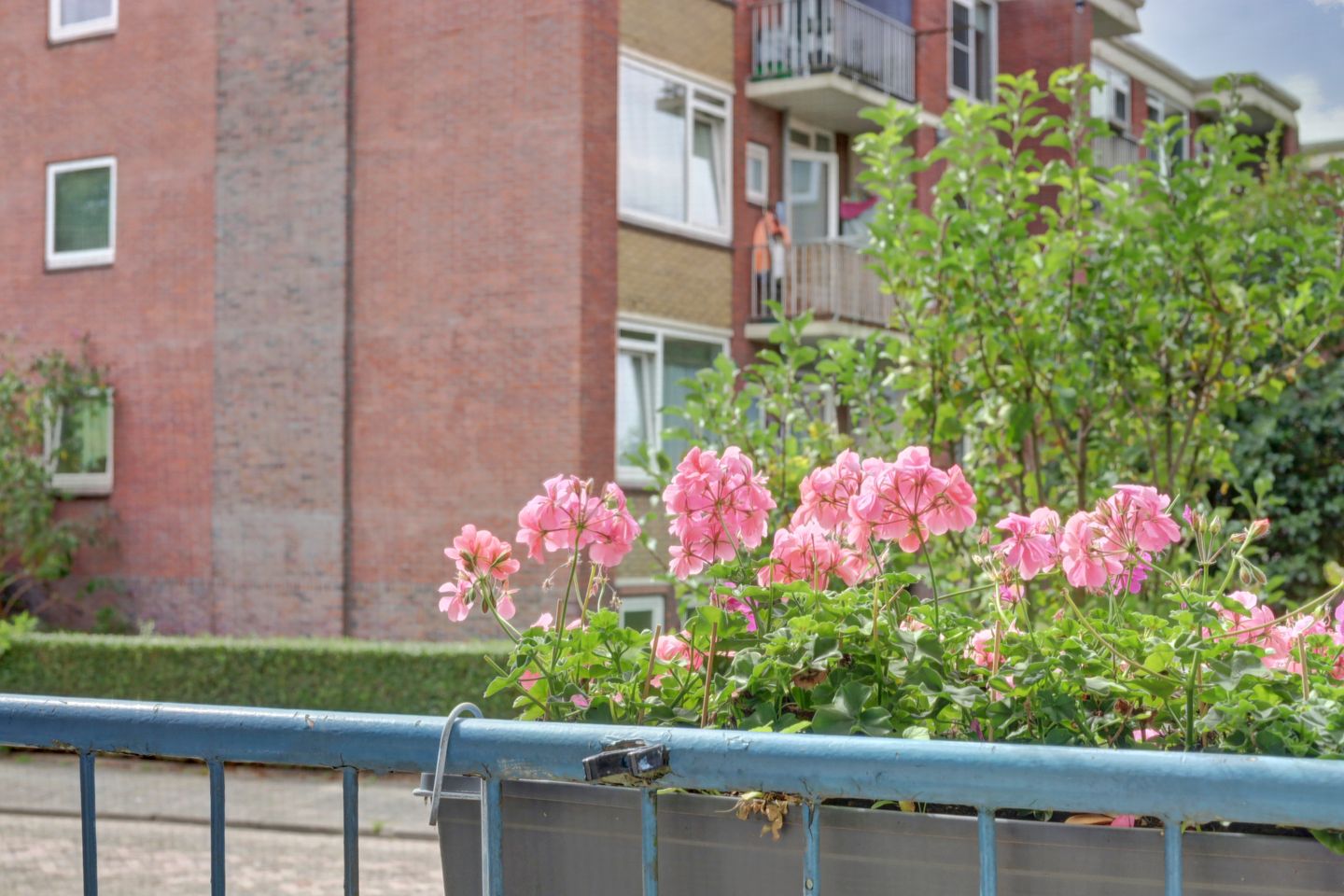 Foto 35 van Mr. Heemskerkstraat 8