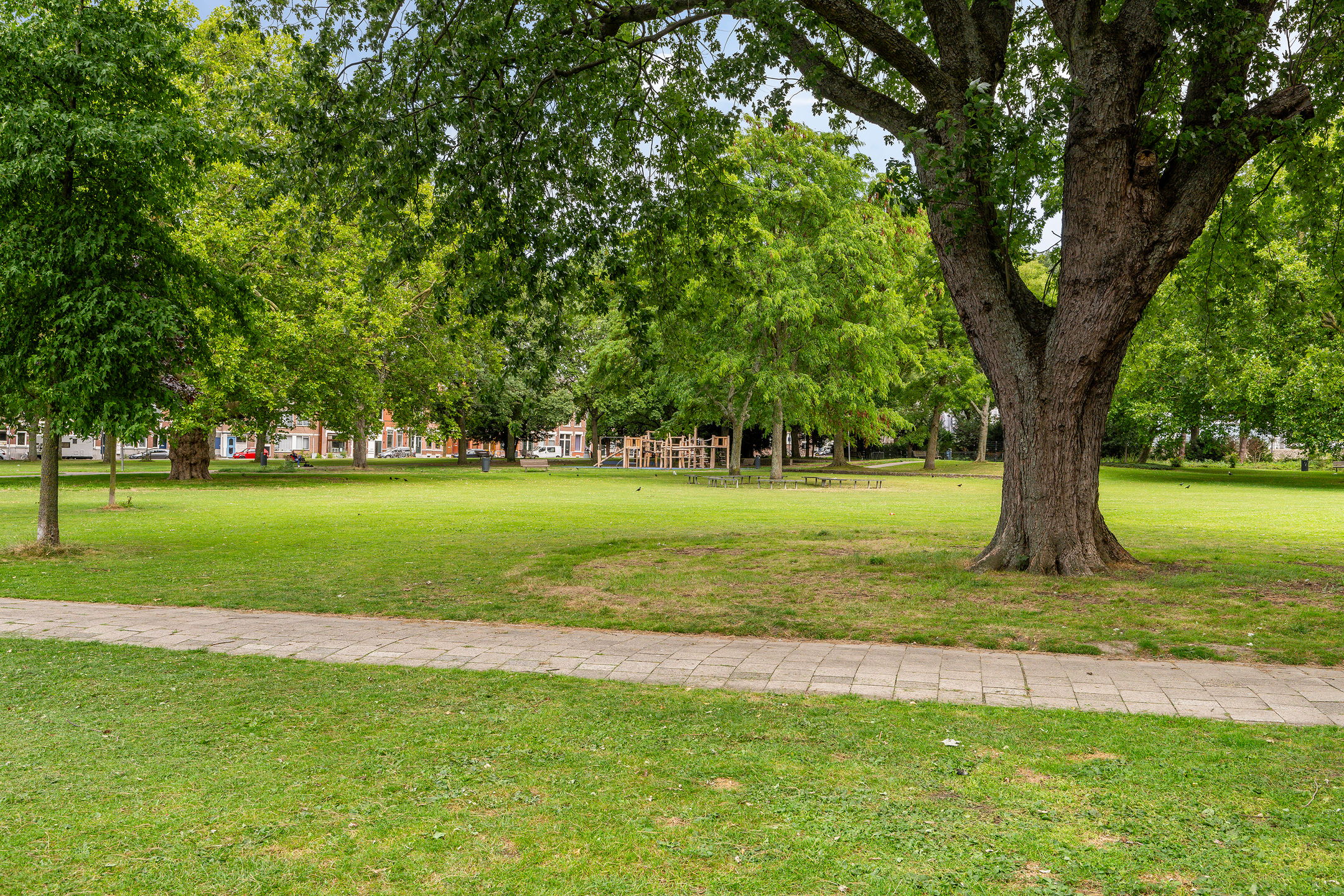 Foto 33 van Wolphaertsbocht 86-G