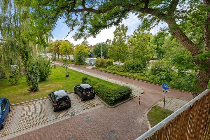 Foto 17 van Gerard Doustraat 107