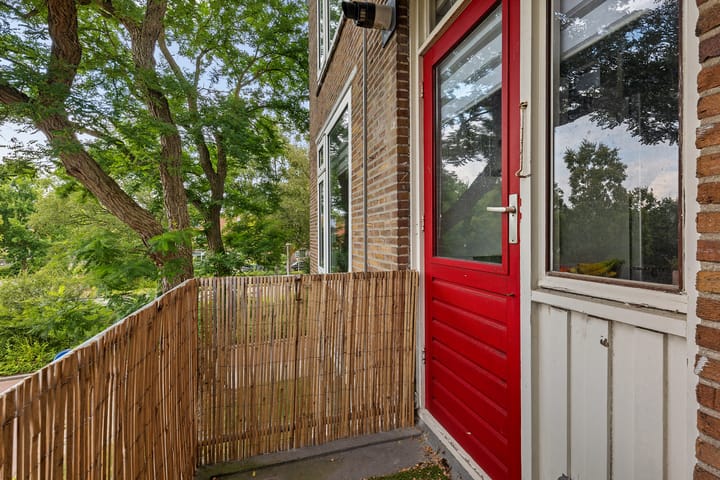 Foto 18 van Gerard Doustraat 107