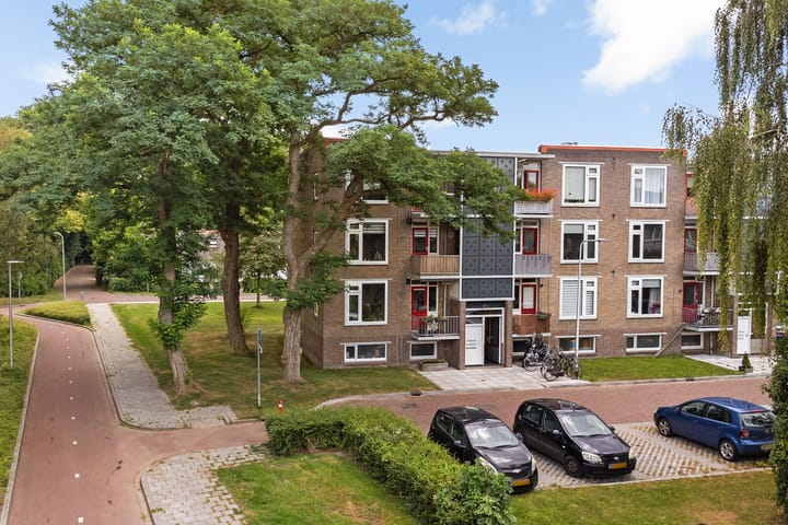 Foto 30 van Gerard Doustraat 107