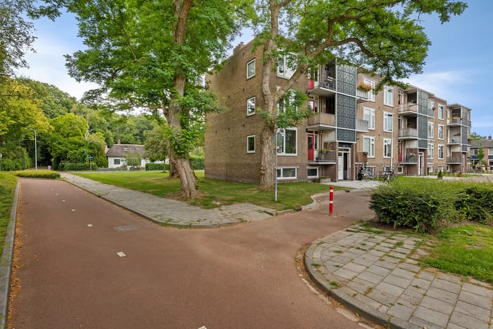 Foto 32 van Gerard Doustraat 107