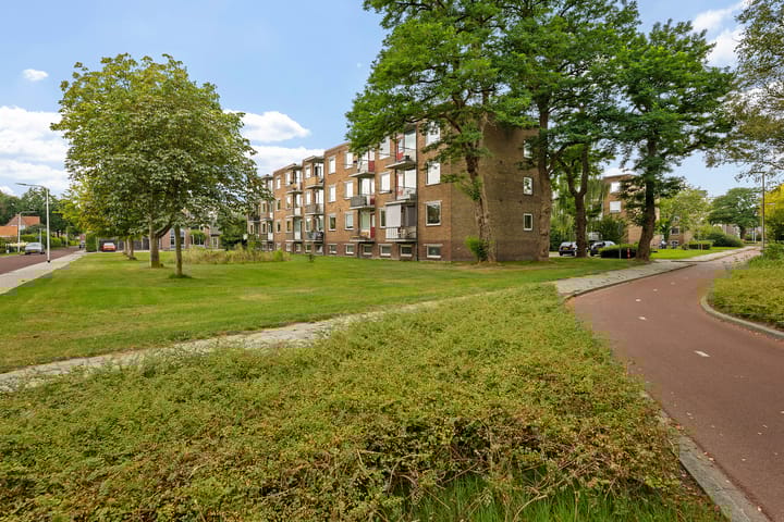 Foto 33 van Gerard Doustraat 107