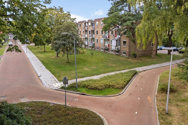 Foto 34 van Gerard Doustraat 107