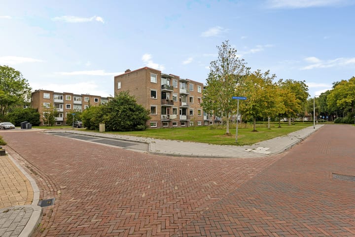 Foto 36 van Gerard Doustraat 107