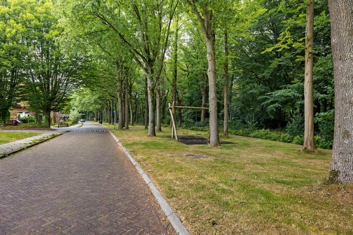 Foto 37 van Gerard Doustraat 107