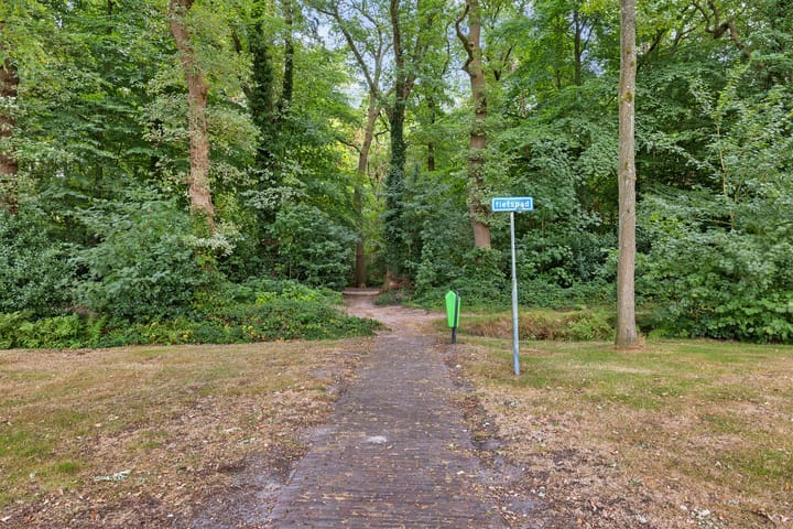 Foto 38 van Gerard Doustraat 107