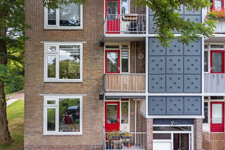 Foto 39 van Gerard Doustraat 107