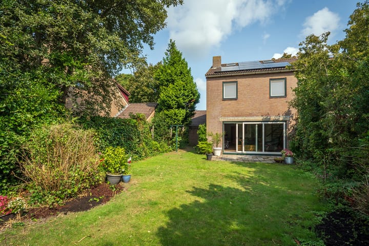 Foto 19 van Vloedlijn 23