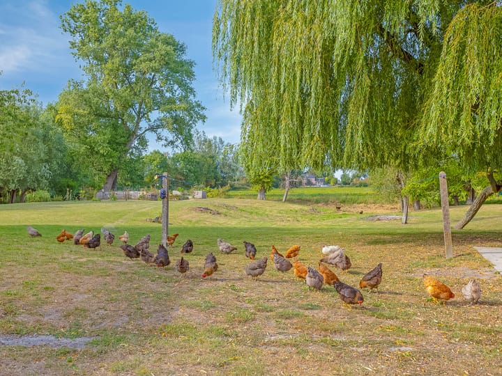 Foto 20 van Hengstdijksekeiweg 4