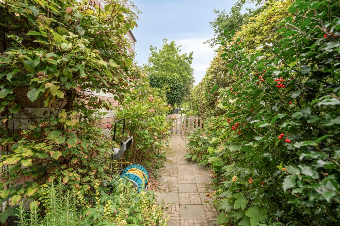 Foto 37 van Pastorielaan 24