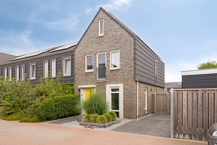 Foto 1 van Lemoenappel 4