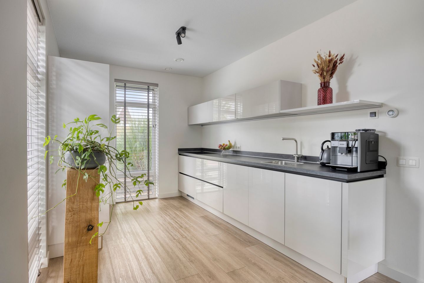 Foto 4 van Lemoenappel 4