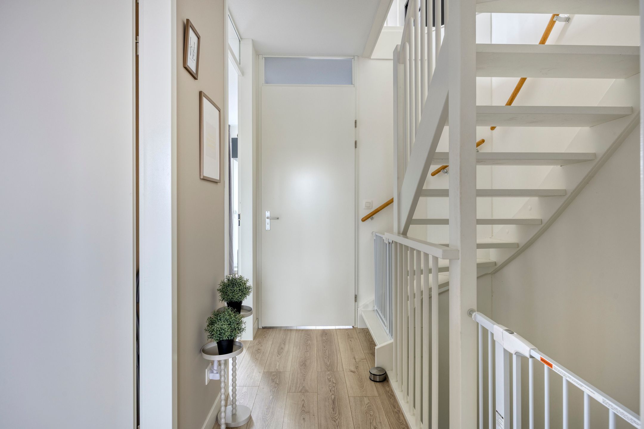 Foto 15 van Lemoenappel 4