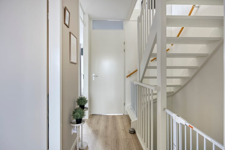 Foto 15 van Lemoenappel 4