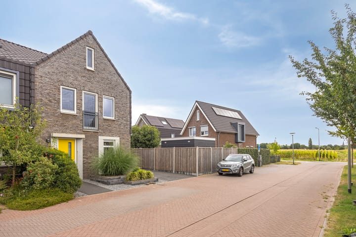 Foto 37 van Lemoenappel 4