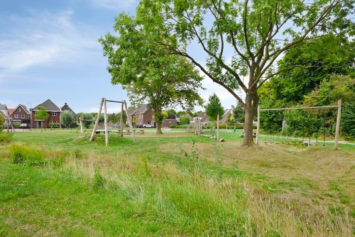 Foto 39 van Lemoenappel 4