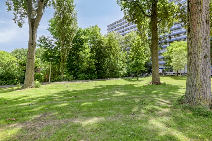 Foto 28 van Frederik van Eedenplaats 269