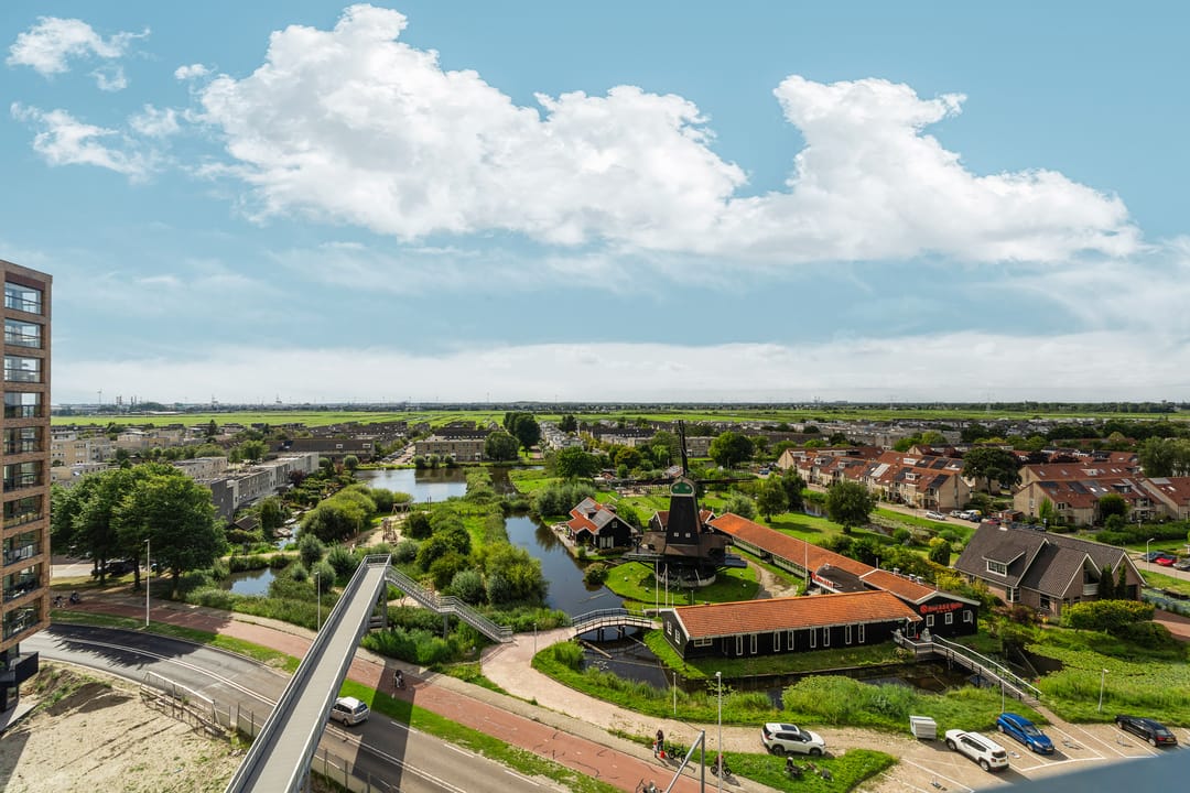 Foto 7 van Mahoniehout 443